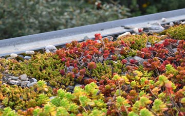 the cost of Back Street green roof installation