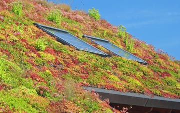 Back Street living roof systems