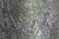 Back Street fibreglass roof work