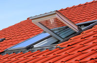 Back Street roof window