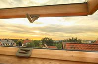 rated Back Street roof window companies